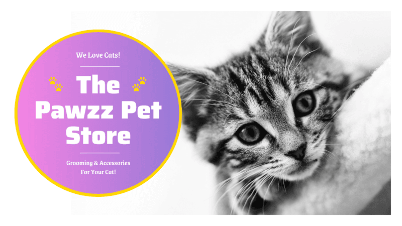 black-and-white-cat-the-pawzz-store-twitter-ad-template-thumbnail-img