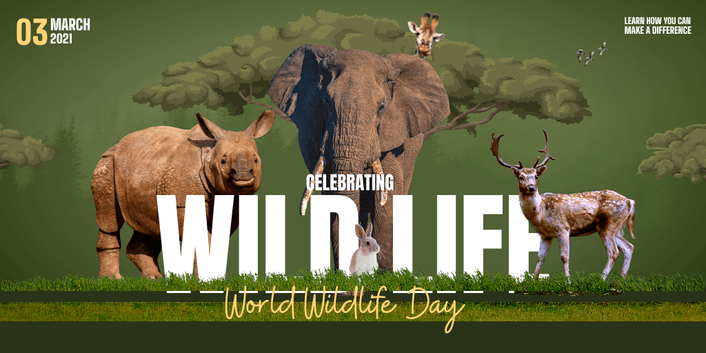 green-background-animals-celebrating-wildlife-twitter-post-template-thumbnail-img