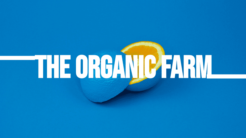 blue-blackground-and-organic-sliced-orange-fruit-youtube-channel-art-thumbnail-img