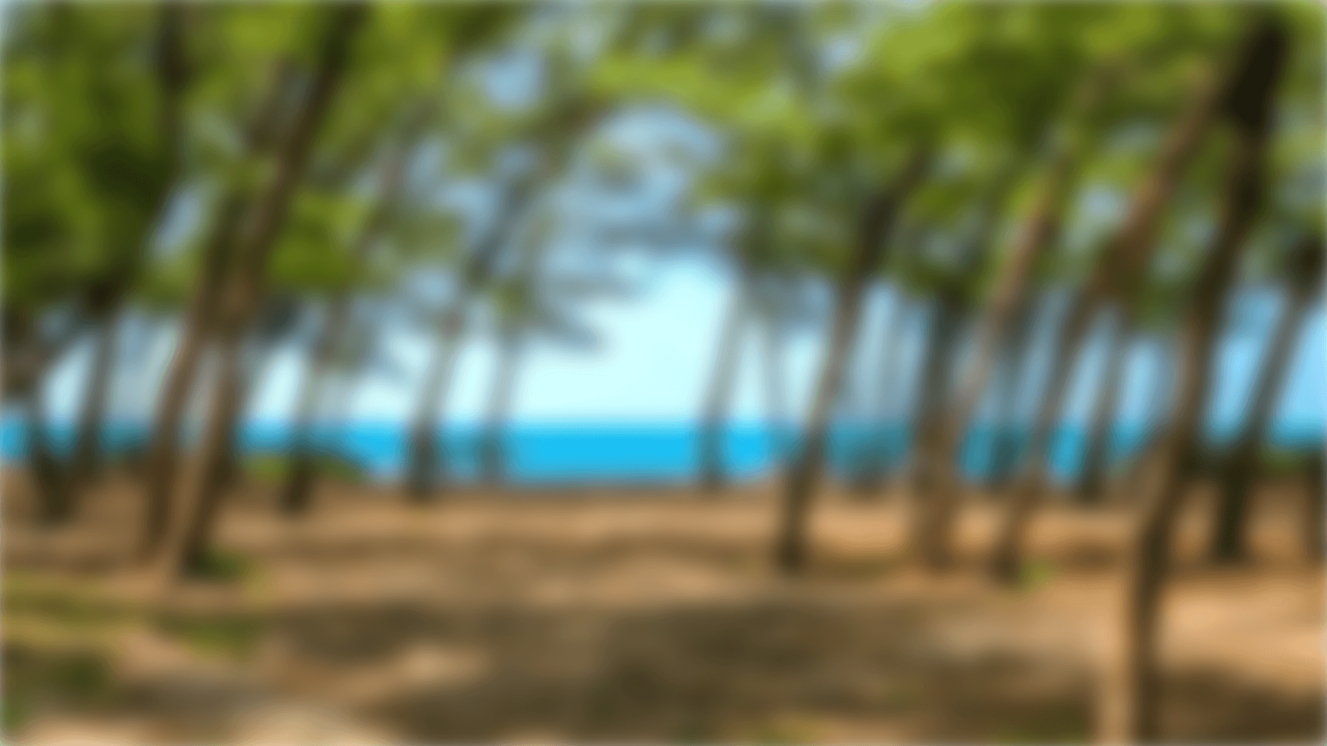 blurred-beach-themed-zoom-virtual-background-template-thumbnail-img