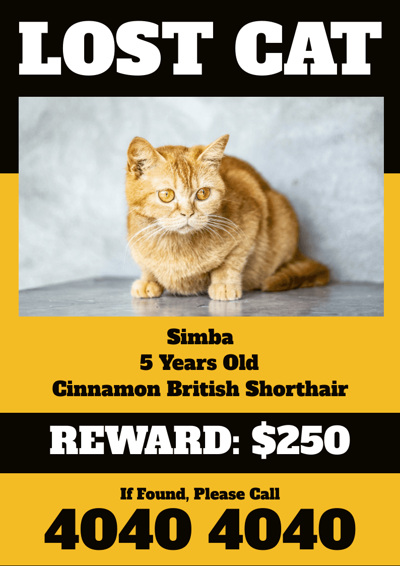 lost-cat-simba-missing-flyer-template-thumbnail-img