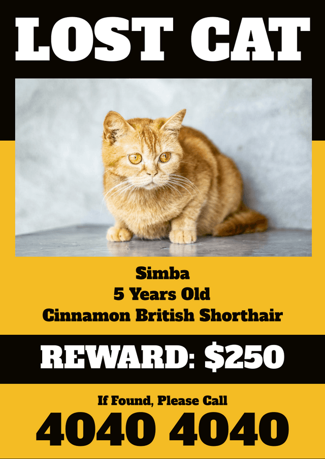 lost-cat-simba-missing-flyer-template-thumbnail-img