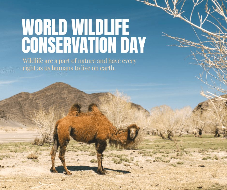 world-wildlife-conservation-day-facebook-post-template-thumbnail-img