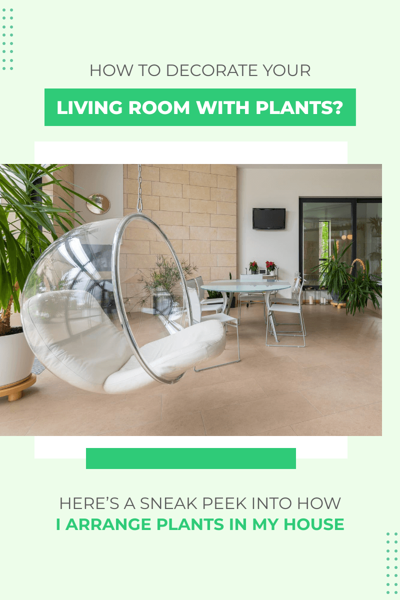green-room-with-glass-swing-and-live-indoor-plants-blog-banner-graphics-thumbnail-img
