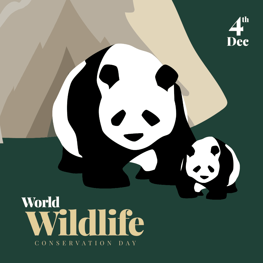 panda-illustrated-wildlife-conservation-day-instagram-post-template-thumbnail-img