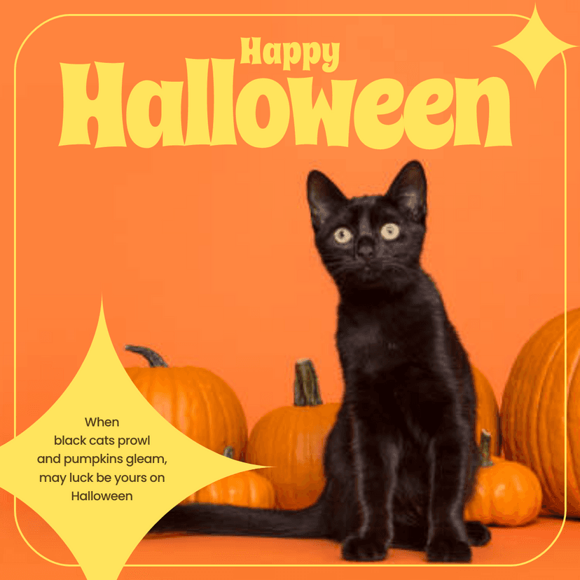 halloween-black-cat-themed-linkedin-post-template-thumbnail-img