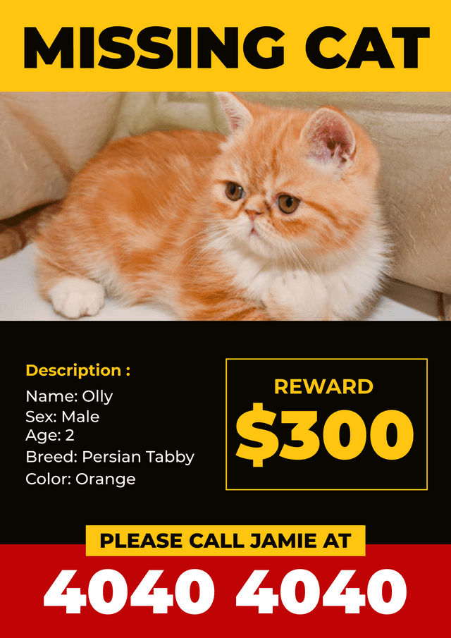 persian-tabby-missing-cat-poster-template-thumbnail-img
