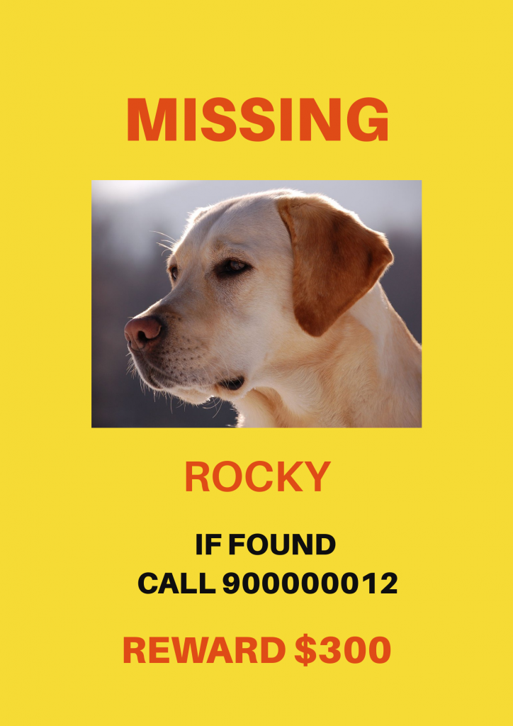 Missing Poster